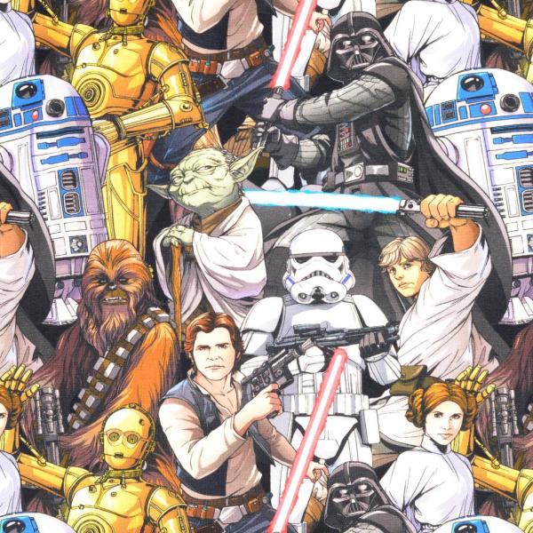 Baumwoll Jersey Star Wars alle Charaktere Bunt